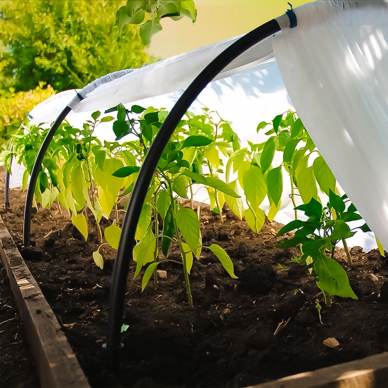 Фото-описание 1